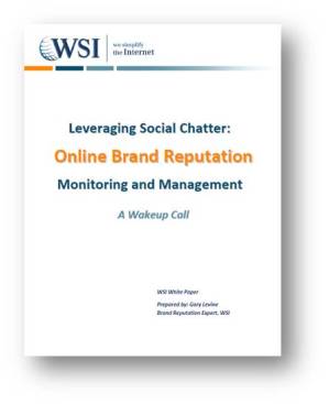 WSI Online Brand Reputation Management Whitepaper